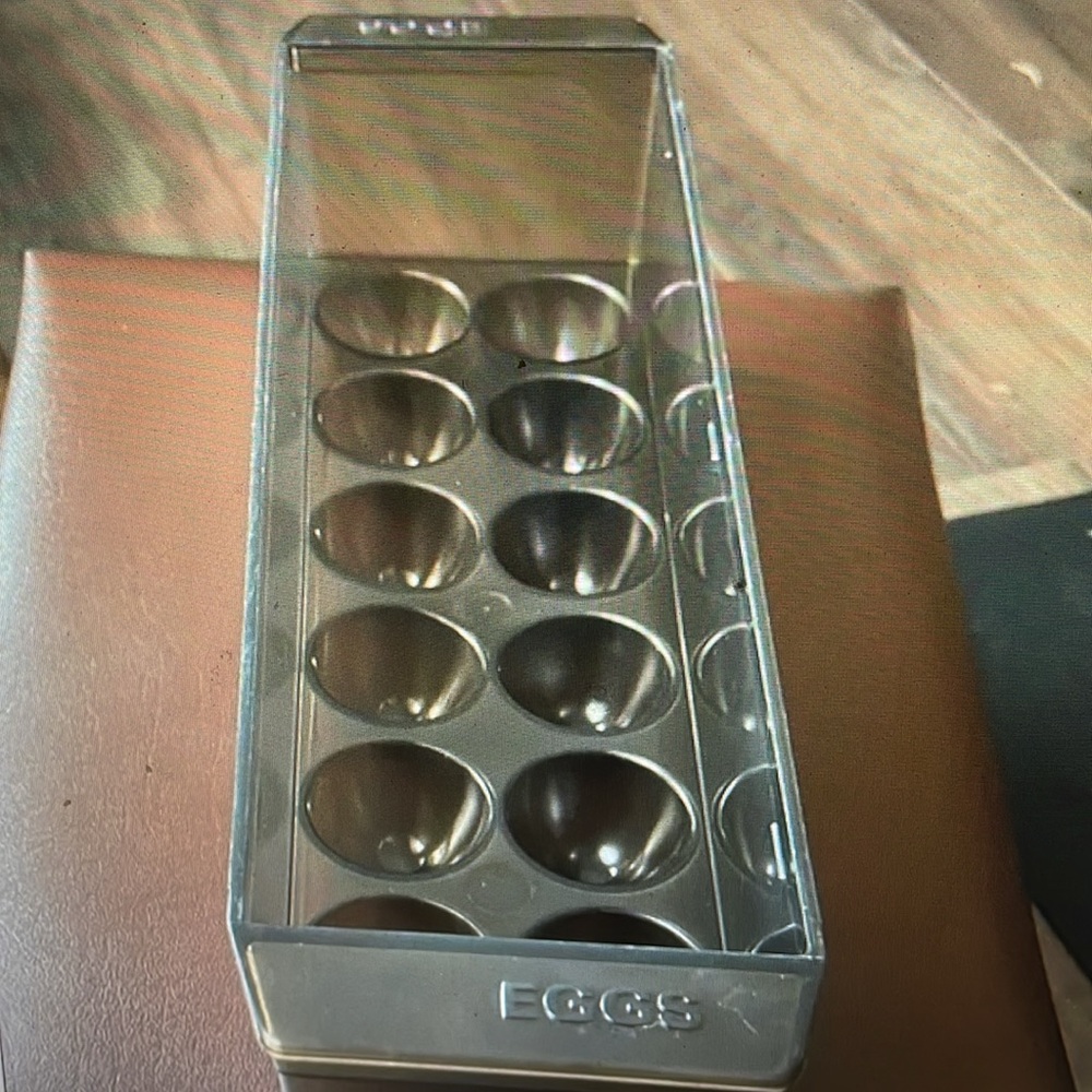 Refrigerator Egg Storage Container holds 12 eggs